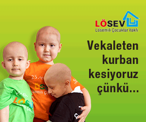 Losev-1