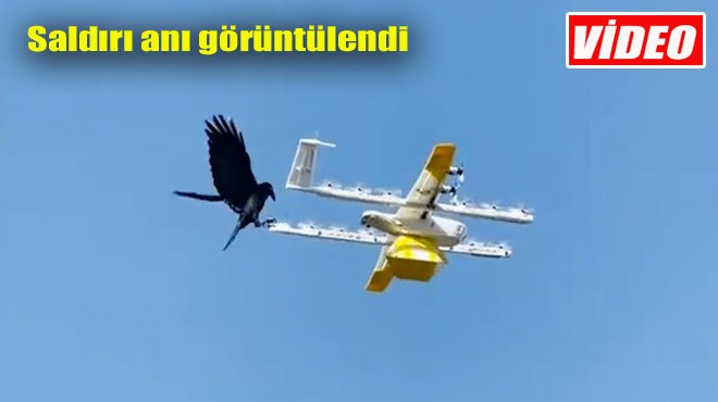 KARGA DRONA KARŞI