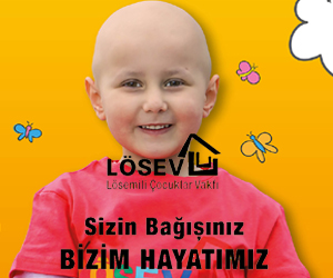 Losev-1