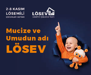 Losev-11