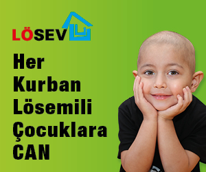 Losev-11
