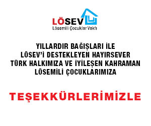 2026-ags-losev1