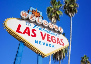 KLM DEN  LAS VEGAS  FIRSATI