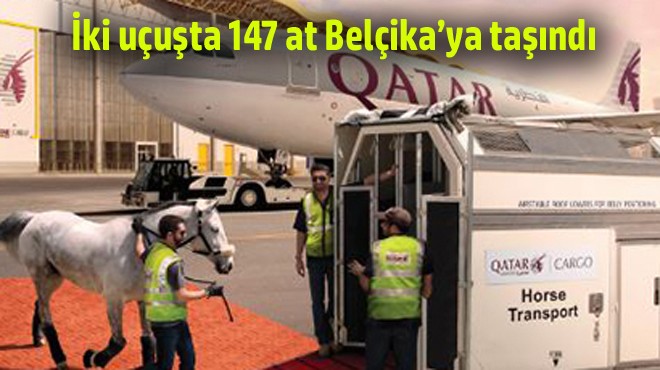 ATLAR TAHLİYE EDİLDİ