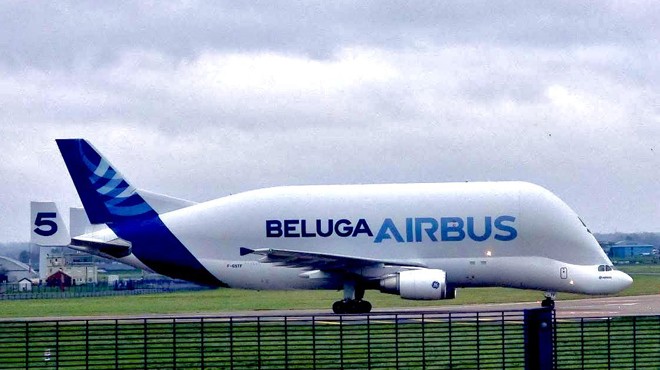 BELUGA  ST5 EMEKLİYE AYRILDI