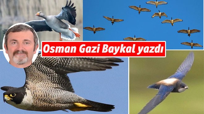GÖKLERDEKİ HIZ REKORLARI