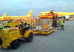 DHL EXPRESS ‘KAPLAN’ TAŞIDI 