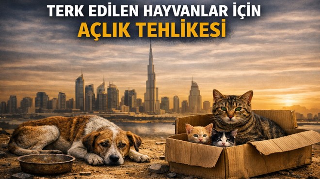 DUBAİ DE  HAYVAN  DRAMI
