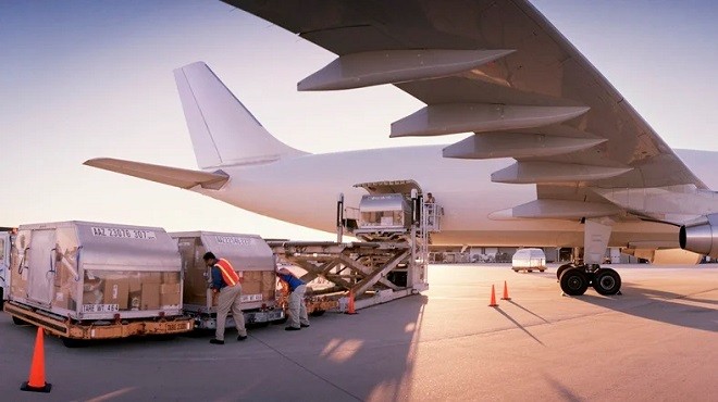 IATA DAN HAVA KARGO VERİLERİ