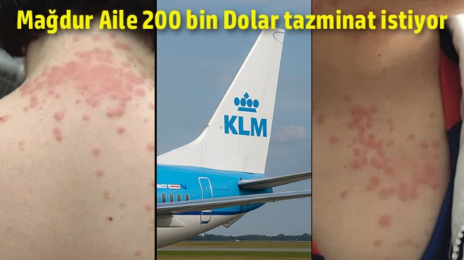 KLM YE  TAHTAKURUSU  DAVASI