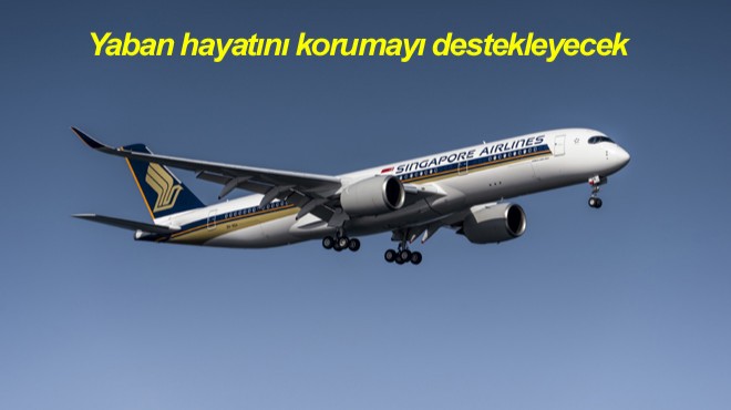MANDAI WILDLIFE GRUBU İŞ BİRLİĞİ