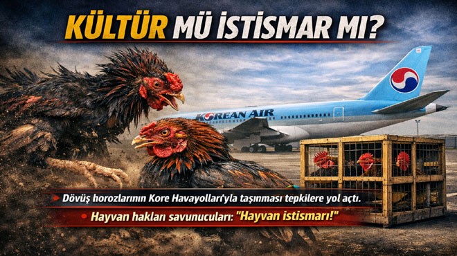 UÇAKTA DÖVÜŞ HOROZLARI