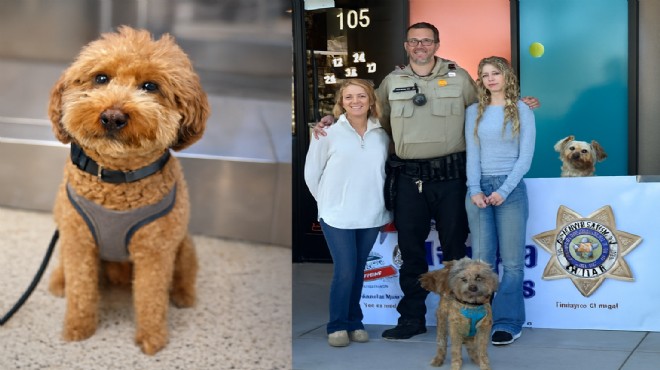 YENİ YUVASINA KAVUŞTU