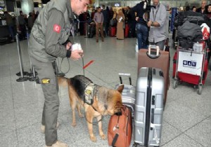 BOMBACI KÖPEKLER GÖREVDE