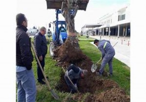 KOCA SEYİT HAVALİMANINA YAKIŞTI